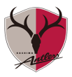 鹿島アントラーズ emblem
