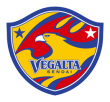 ベガルタ仙台 emblem